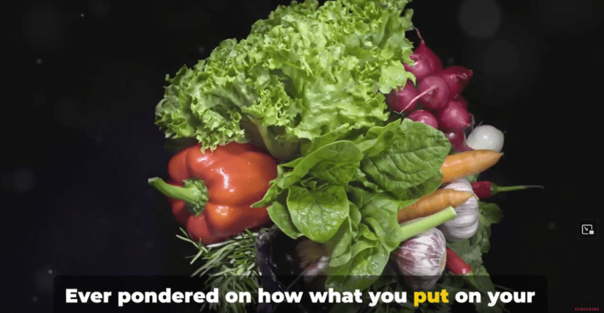 The Green Path: Unveiling the Benefits of&nbsp;Vegetarianism