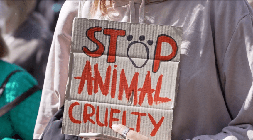 Compassion Unleashed: The Case Against Animal&nbsp;Slaughter
