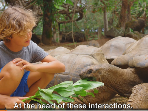 Embracing Compassion: The Heartbeat of Humanity in Our Connection with&nbsp;Animals