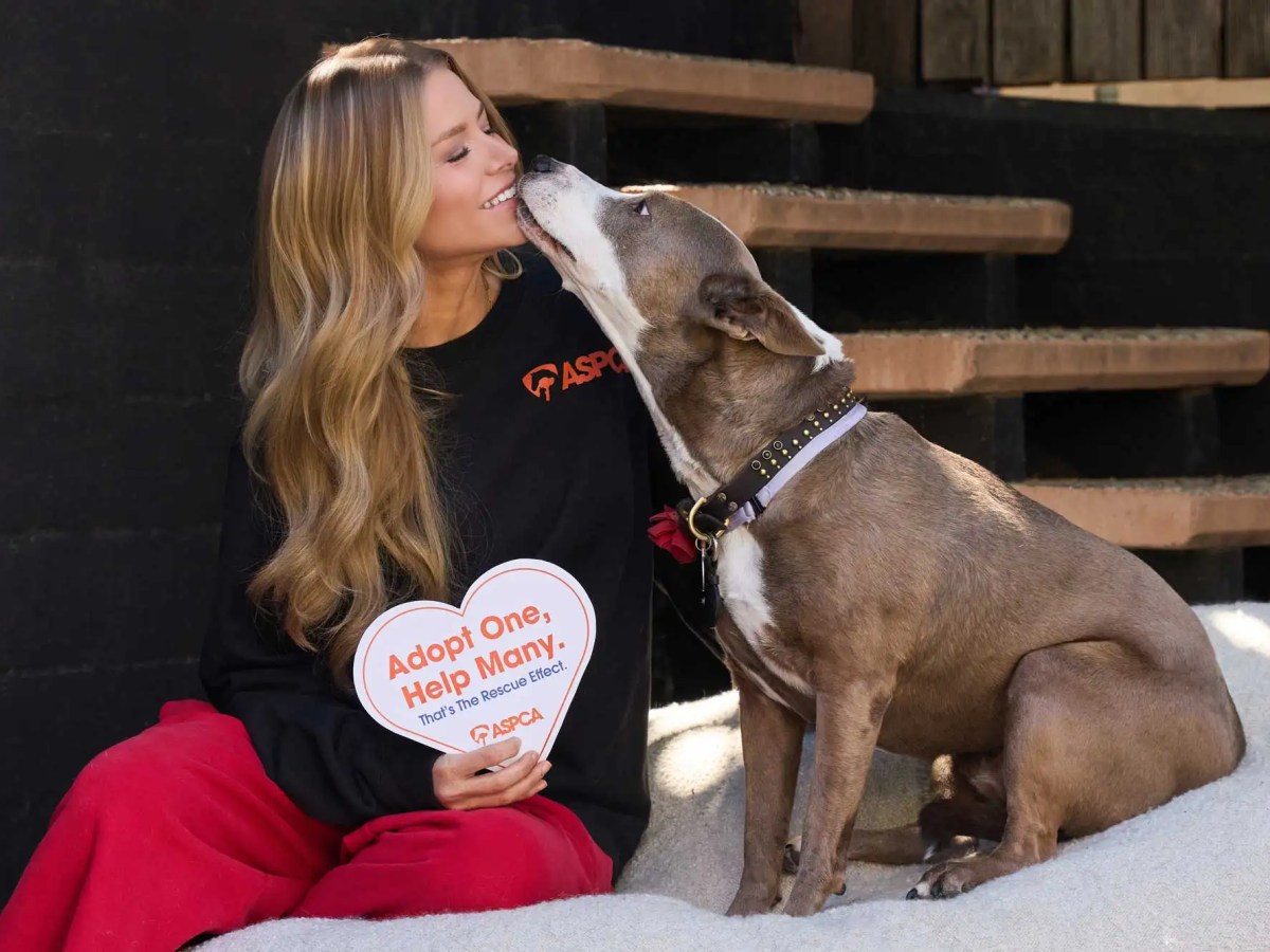 Ariana Madix Wants to Help You Couple Up with the Perfect Rescue&nbsp;Pet