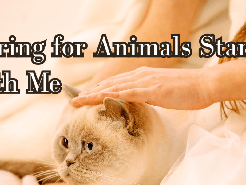 Caring for Animals Starts with&nbsp;Me